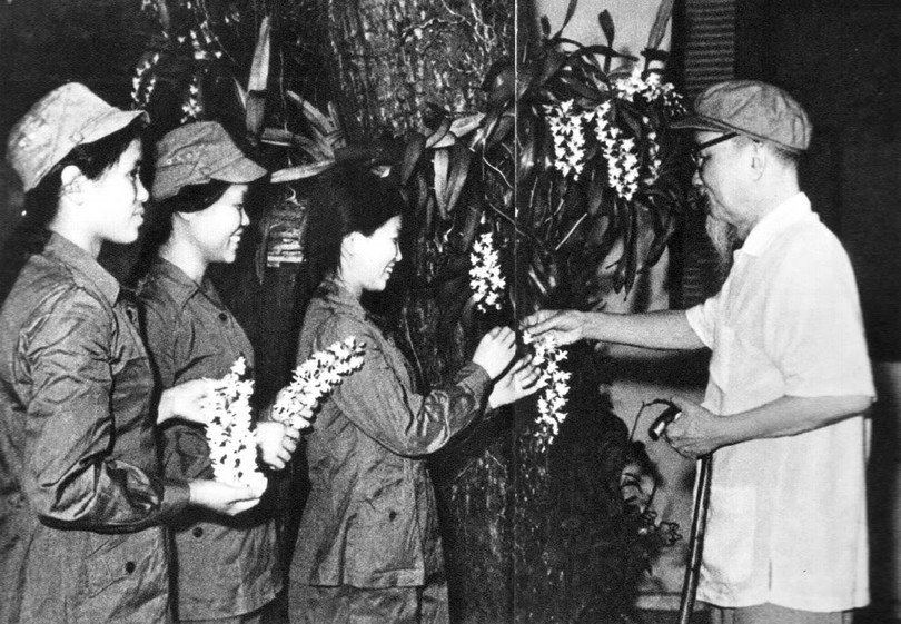 CÔNG TY TNHH MỘT THÀNH VIÊN THOÁT NƯỚC ĐÔ THỊ THÀNH PHỐ HỒ CHÍ MINH